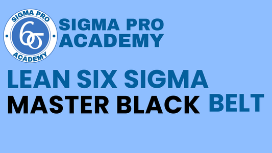 Six Sigma Master Black Belt